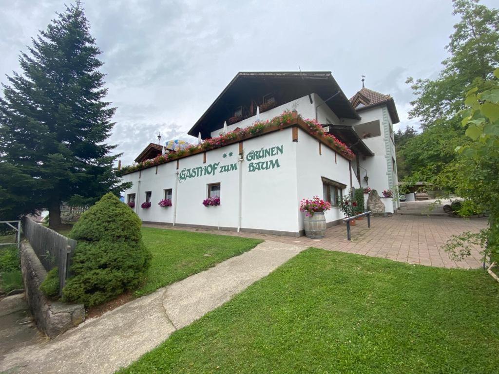 Albero Verde Verano Exterior photo
